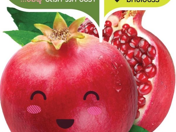 Японская сыворотка - маска с гранатом Smooto 10 гр