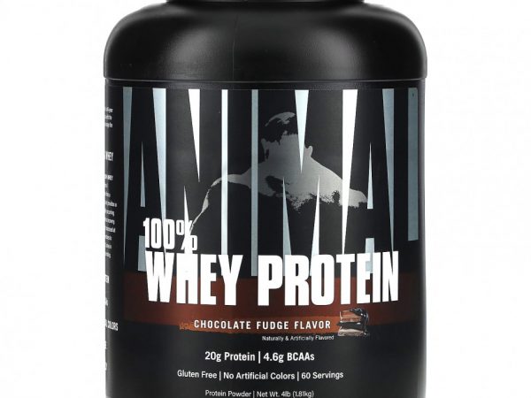 Animal, Порошок из 100% сывороточного протеина, шоколадная помадка, 1,81 кг (4 фунта)