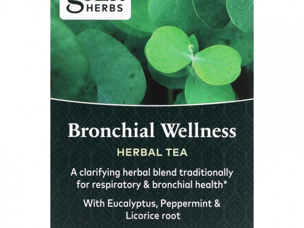 Gaia Herbs, Bronchial Wellness, травяной чай, без кофеина, 16 чайных пакетиков, по 0,85 (24 г)
