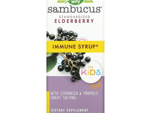 Nature's Way, Sambucus для детей, стандартизированный экстракт бузины, сироп для укрепления иммунитета, 120 мл (4 жидк. унции)
