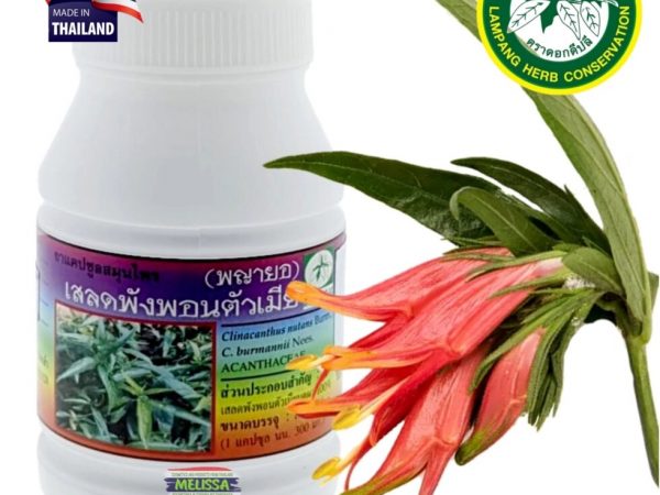 Clinacanthus Nutans Клинакантус Поникающий противовоспалительное противовирусное средство, 100 капс. Таиланд