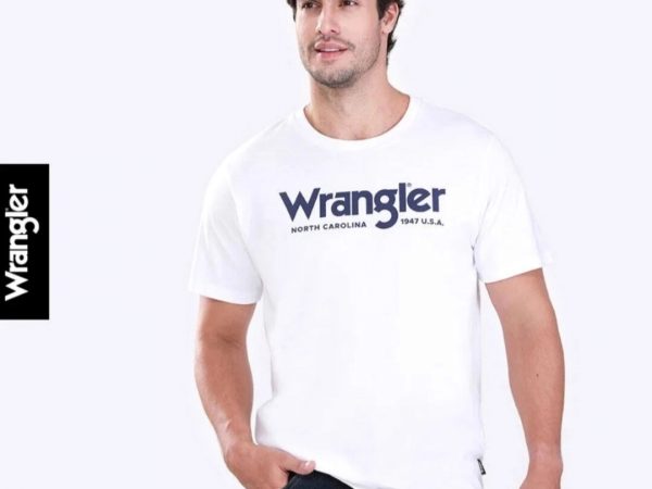 Футболка мужская T-Shirt Wrangler Regular Affordable, модель WR S523MTSSF19 (оригинал) XXL