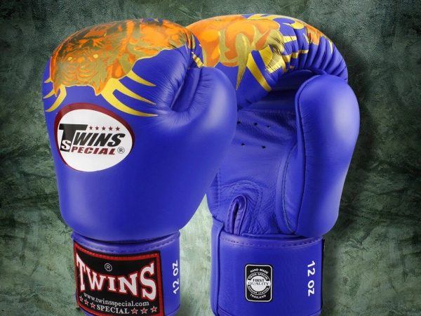 Перчатки боксерские Twins Special FBGV-21, 10 oz, Таиланд
