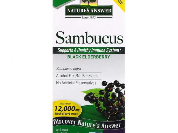 Nature's Answer, черная бузина, 12 000 мг, 480 мл (16 жидк. унций)