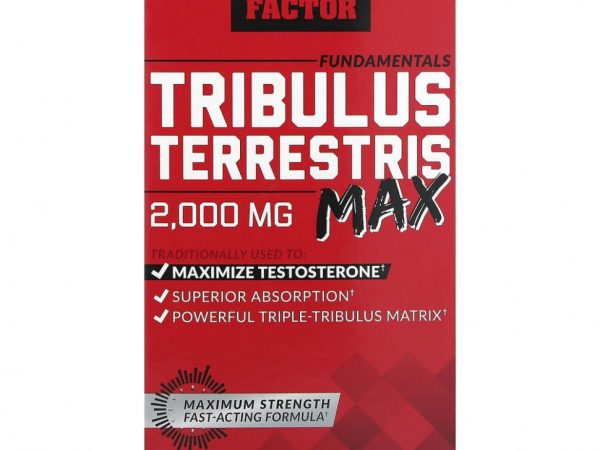Force Factor, Fundamentals, Tribulus Terrestris Max, 500 мг, 120 растительных капсул