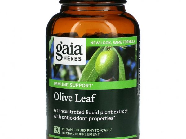 Gaia Herbs, Лист оливы, 120 веганских фито-капсул с жидкостью