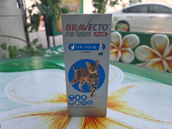 Капли Бравекто плюс от паразитов и клещей для кошек весом от 2,8 до 6,25 кг. 250 мг