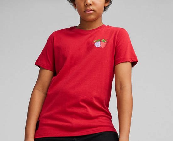 PUMA KIDS Boy T-Shirt Ess+ Mid 90S Graphic Blue