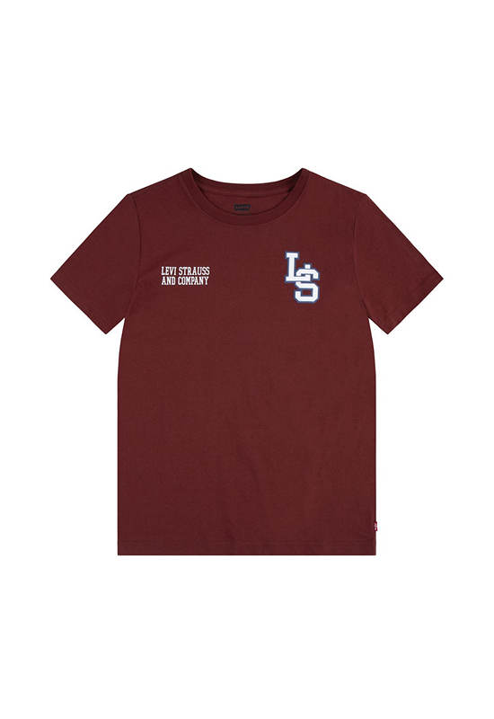 LEVI'S KIDS Boy Toddler Tee Short Sleeves Levis Spirit R9G-Fired Brick