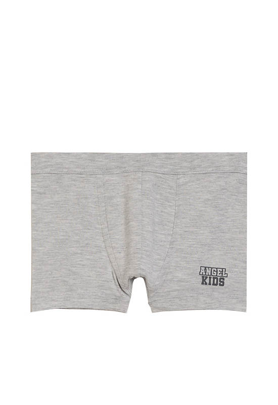 ANGEL KIDS Boy Boxer Modal Logo Printed