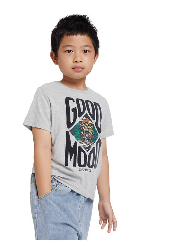 DeFry 01 Boys T-Shirt Short Sleeves Printed