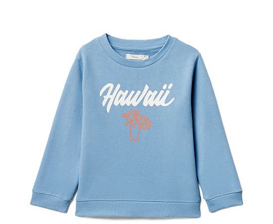 SFERA KIDS Boy Sweatshirt Basic Print Blue