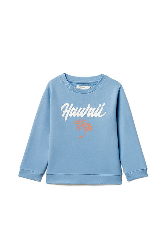 SFERA KIDS Boy Sweatshirt Basic Print Blue