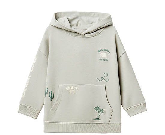 SFERA KIDS Boy Sweatshirt Embellished Light Green
