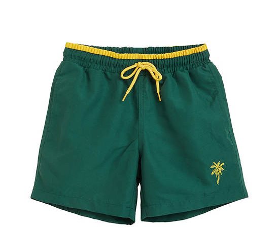 DeFry 01 Boy Shorts Coconut Tree Logo Print