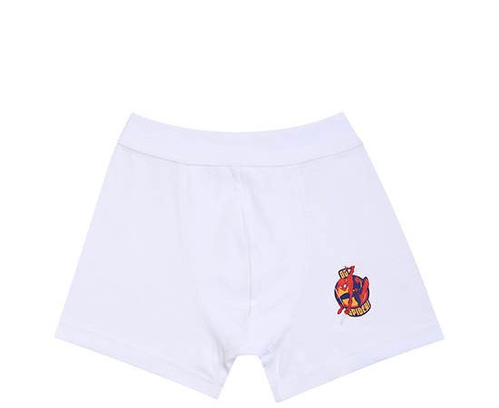 ANGEL KIDS Boy Boxer Briefs Underwear Spider-Man Marvel Back To School Print