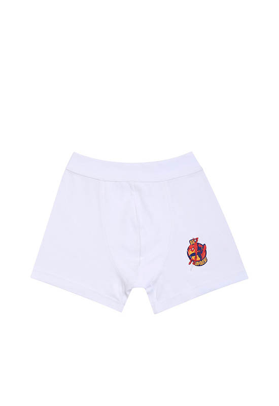 ANGEL KIDS Boy Boxer Briefs Underwear Spider-Man Marvel Back To School Print