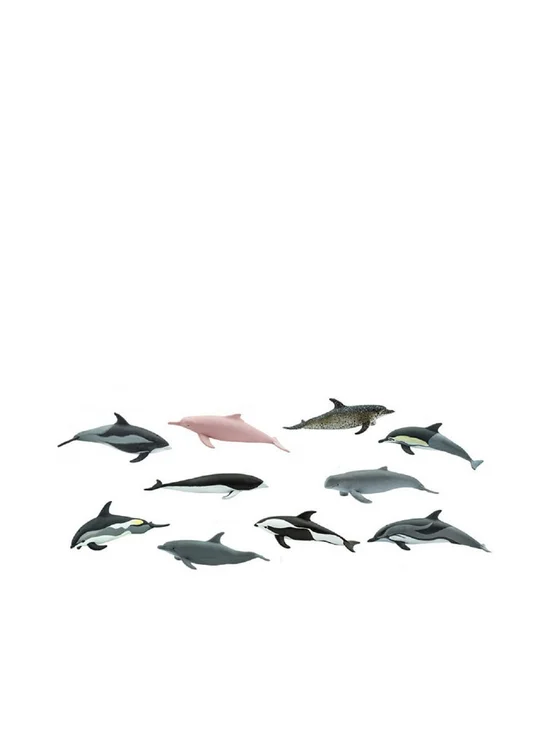 SAFARI DOLPHINS