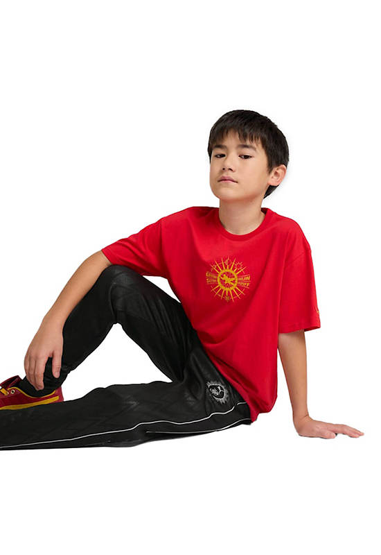 PUMA KIDS Boy Tee Puma X Harry Potter Youth Relaxed Fit Graphic For All Time Red
