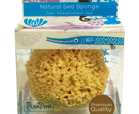 PUNAPENA Sea Sponge size XL PN7028
