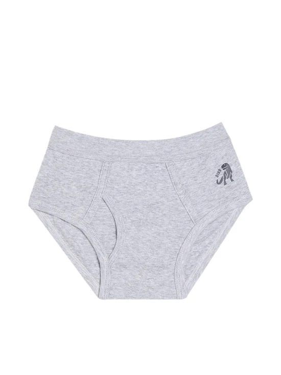 ANGEL KIDS Boy's Brief with Dino Logo Printed