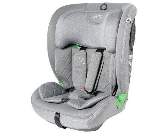FIN BABIESPLUS GREY Carseat CARCC10