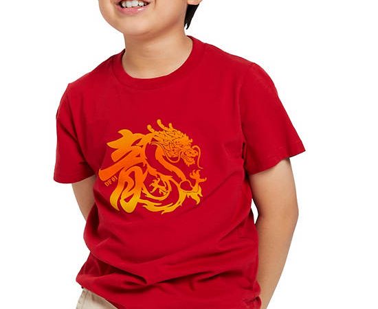 DeFry 01 Boy T-Shirt Short Sleeves 2501FTSB004 Red