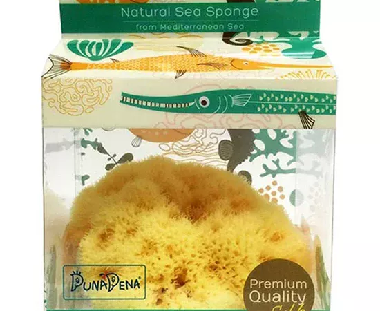 PUNAPENA Sea Sponge size M PN7015