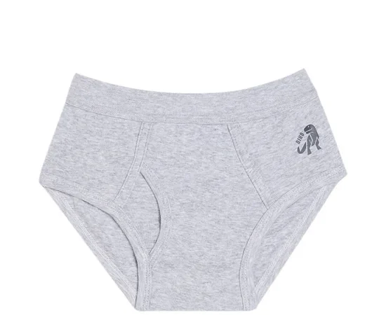 ANGEL KIDS Boy's Brief with Dino Logo Printed